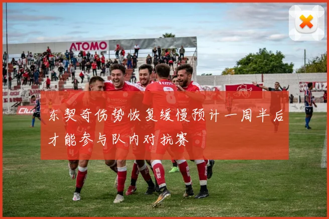 东契奇伤势恢复缓慢预计一周半后才能参与队内对抗赛