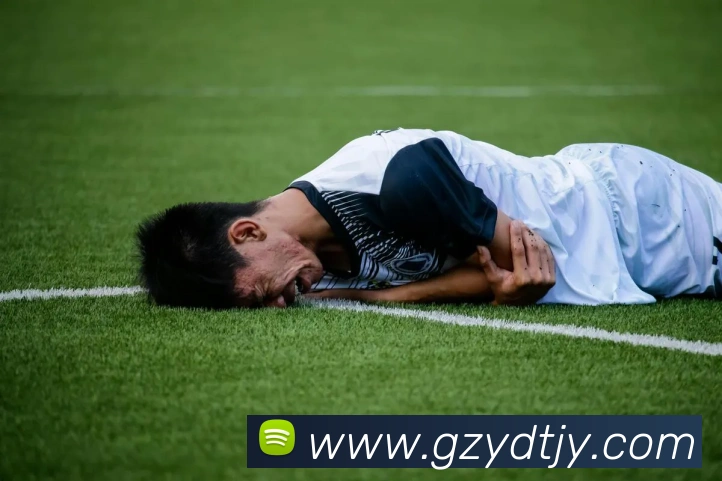 App Interface Preview