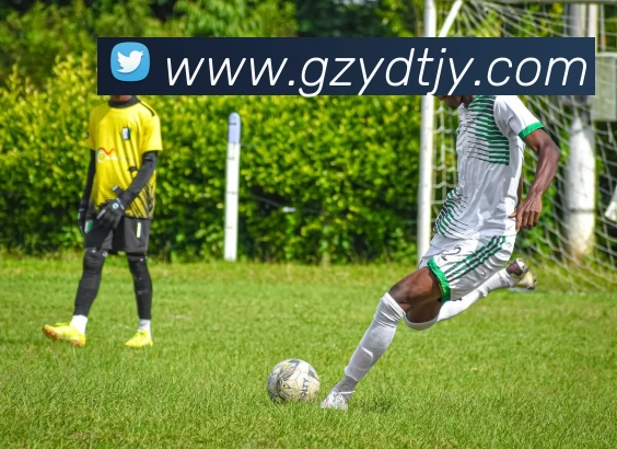 j9九游真人游戏第一品牌，九游会j9官网ag，j9九游会官方登录入口，j9.com九游会官网APP 封面图